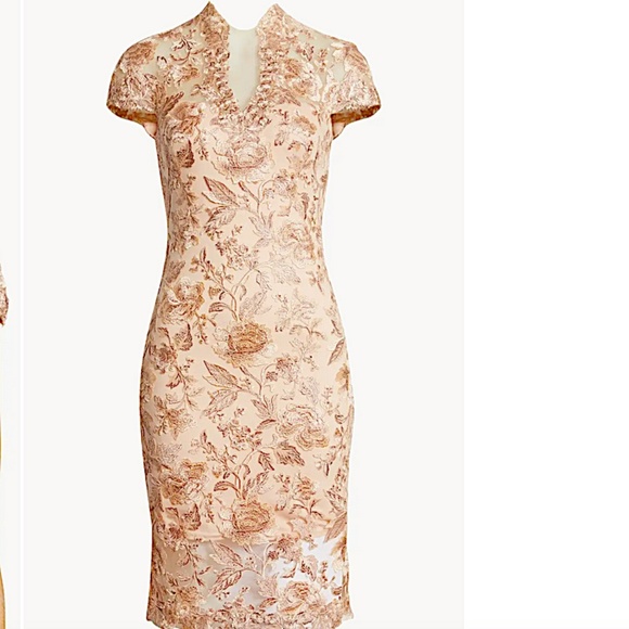 Cap Sleeve Lace Sheath Dress Tadashi Shoji in Lattp